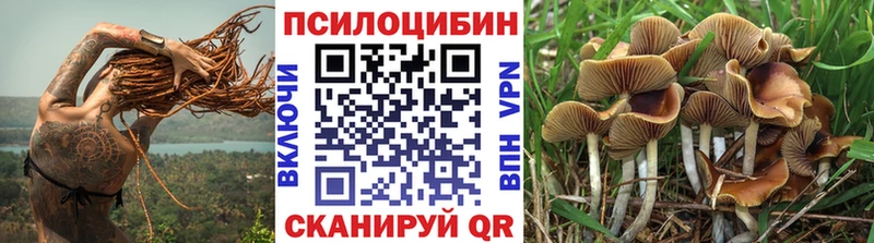 Псилоцибиновые грибы GOLDEN TEACHER  Купить  Завитинск 